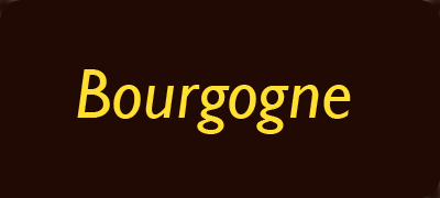 bourgogne Jetons et Méreaux de l'Est de la France  - Tokens from Eastern France