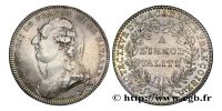jeton-token-médaille-rechenpfennig-tessera-méreau-sigilli-getone-rekenpfennig-plomb-pallofa-Nuremberg-Tournai svg+xml,%3Csvg%20xmlns%3D%22http%3A%2F%2Fwww.w3 Jetons des Académies royales et des institutions religieuses - Tokens of Royal Academies and Religious Institutions