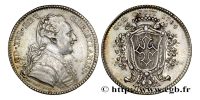 jeton-token-médaille-rechenpfennig-tessera-méreau-sigilli-getone-rekenpfennig-plomb-pallofa-Nuremberg-Tournai svg+xml,%3Csvg%20xmlns%3D%22http%3A%2F%2Fwww.w3 Jetons et méreaux du Languedoc-Foix-Roussillon-Béarn