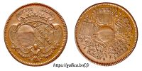 jeton-token-médaille-rechenpfennig-tessera-méreau-sigilli-getone-rekenpfennig-plomb-pallofa-Nuremberg-Tournai svg+xml,%3Csvg%20xmlns%3D%22http%3A%2F%2Fwww.w3 Jetons et méreaux du Languedoc-Foix-Roussillon-Béarn