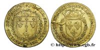 jeton-token-médaille-rechenpfennig-tessera-méreau-sigilli-getone-rekenpfennig-plomb-pallofa-Nuremberg-Tournai svg+xml,%3Csvg%20xmlns%3D%22http%3A%2F%2Fwww.w3 Jetons et méreaux de l'Orléanais et de la Touraine - Loire valley's tokens