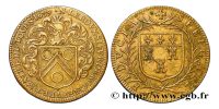 jeton-token-médaille-rechenpfennig-tessera-méreau-sigilli-getone-rekenpfennig-plomb-pallofa-Nuremberg-Tournai svg+xml,%3Csvg%20xmlns%3D%22http%3A%2F%2Fwww.w3 Jetons et méreaux de l'Orléanais et de la Touraine - Loire valley's tokens