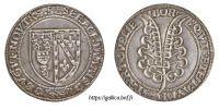 3067416015 Jetons, médailles des comtes et des nobles des Flandres - Penningen van graven en edelen van Vlaanderen