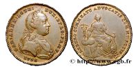 398239027 Jetons et méreaux du Brabant - tokens - lodenpenningen
