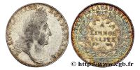 2706401744 jetons de Namur et de la noblesse d'Europe - tokens - penningen