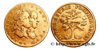 jeton-token-médaille-rechenpfennig-tessera-méreau-sigilli-getone-rekenpfennig-plomb-pallofa-Nuremberg-Tournai svg+xml,%3Csvg%20xmlns%3D%22http%3A%2F%2Fwww.w3 Jetons royaux de Louis XIV à Louis XVI - Tokens -Rechenpfennig