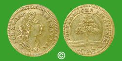 1757822013 les jetons banaux de Nuremberg, rechenpfennig