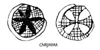 jeton-token-médaille-rechenpfennig-tessera-méreau-sigilli-getone-rekenpfennig-plomb-pallofa-Nuremberg-Tournai svg+xml,%3Csvg%20xmlns%3D%22http%3A%2F%2Fwww.w3 Méreaux du Moyen Age - Middle age lead tokens
