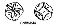 4234696794 Méreaux du Moyen Age - Middle age lead tokens