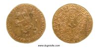 1175255996 Les Provinces-Unies et les princes d'Orange