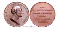 jeton-token-médaille-rechenpfennig-tessera-méreau-sigilli-getone-rekenpfennig-plomb-pallofa-Nuremberg-Tournai svg+xml,%3Csvg%20xmlns%3D%22http%3A%2F%2Fwww.w3 Jetons et Médailles de Suède Svenska polletter och medaljer