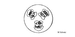 1674287942 Jetons et médailles de Bavière   Bayerische Marken Zeichen und medaillen
