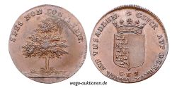 jeton-token-médaille-rechenpfennig-tessera-méreau-sigilli-getone-rekenpfennig-plomb-pallofa-Nuremberg-Tournai svg+xml,%3Csvg%20xmlns%3D%22http%3A%2F%2Fwww.w3 Jetons et médailles de Basse-Saxe Niedersächsische Marken Zeichen und Medaillen