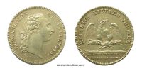 jeton-token-médaille-rechenpfennig-tessera-méreau-sigilli-getone-rekenpfennig-plomb-pallofa-Nuremberg-Tournai svg+xml,%3Csvg%20xmlns%3D%22http%3A%2F%2Fwww.w3 Jetons du Conseil du roi, de la Chancellerie, des secrétaires - Tokens of the King's Council, the Chancellery, the Secretaries and lawiers
