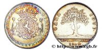 jeton-token-médaille-rechenpfennig-tessera-méreau-sigilli-getone-rekenpfennig-plomb-pallofa-Nuremberg-Tournai svg+xml,%3Csvg%20xmlns%3D%22http%3A%2F%2Fwww.w3 jetons et méreaux de la ville de Paris - Tokens - Marken, Zeichen