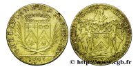 jeton-token-médaille-rechenpfennig-tessera-méreau-sigilli-getone-rekenpfennig-plomb-pallofa-Nuremberg-Tournai svg+xml,%3Csvg%20xmlns%3D%22http%3A%2F%2Fwww.w3 Jetons de la noblesse d'Ile de France - Tokens of the nobility