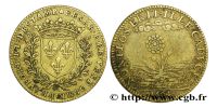 3694807898 Jetons et méreaux des villes d'Ile de France - Tokens