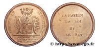 3277820161 Jetons et méreaux des villes d'Ile de France - Tokens