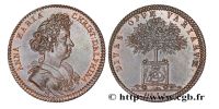 3537811127 Jetons et méreaux du Dauphiné et du Comtat-Venaissin - Tokens